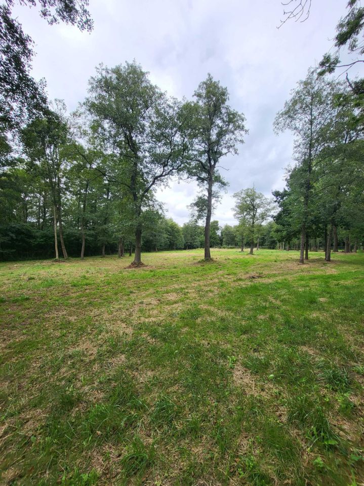 Działka budowlana Nochowo, ul. Brzozowa. Zdjęcie 5