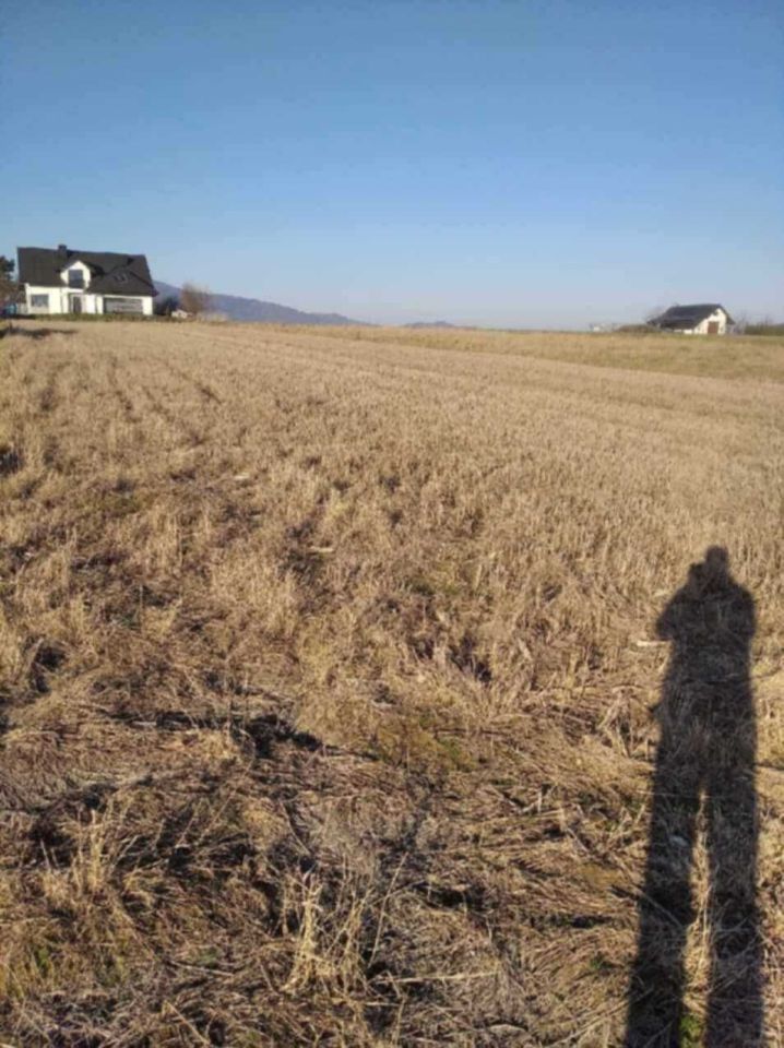 Działka budowlana Pietrzykowice, ul. Wielodroga. Zdjęcie 4