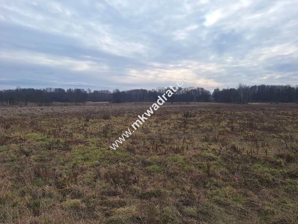 Działka budowlana Żelechów. Zdjęcie 2