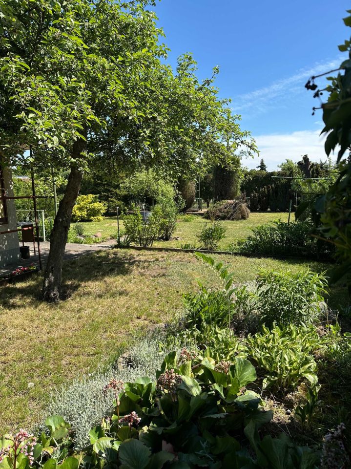 Działka rod Luboń. Zdjęcie 3