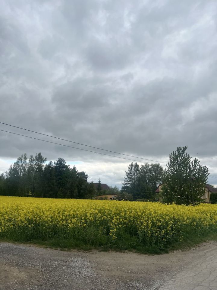 Działka budowlana Tomaszówka. Zdjęcie 7