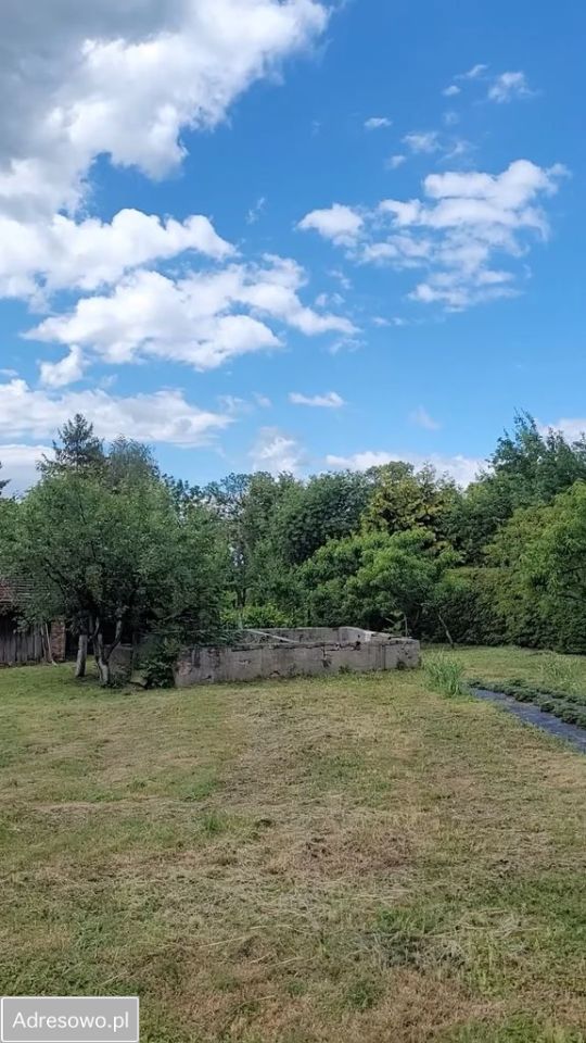 gospodarstwo Rudziczka. Zdjęcie 9