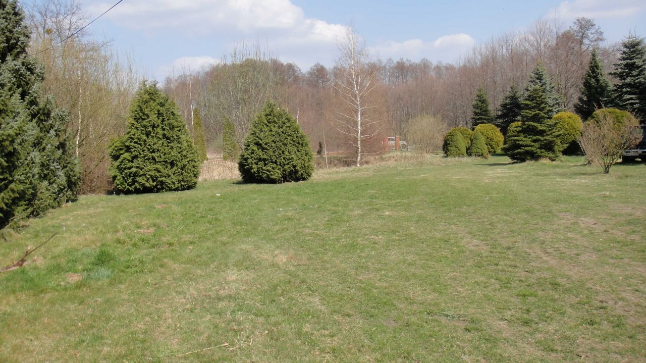 Działka budowlana Smolice. Zdjęcie 5