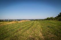 Działka rolna Korczyna. Zdjęcie 3