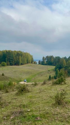 Działka rolna Czarne. Zdjęcie 1