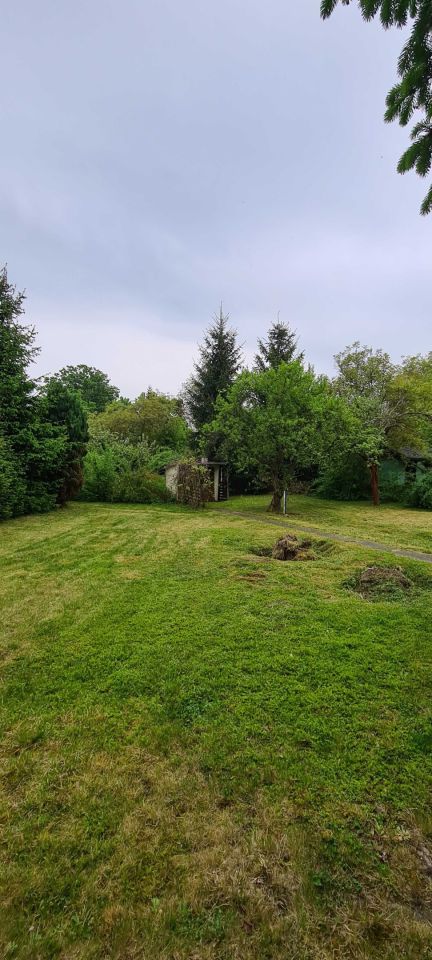 Działka rod Zgorzelec. Zdjęcie 5