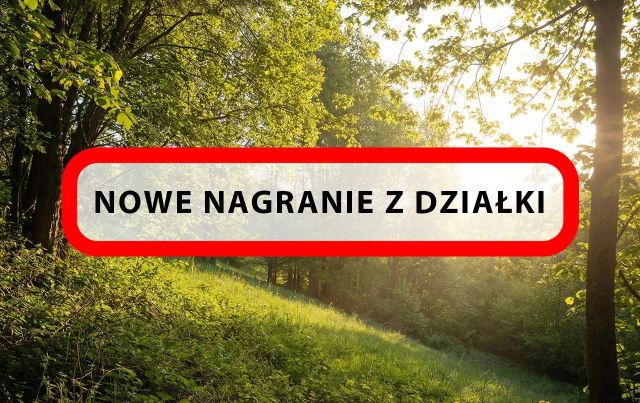 Działka budowlana Konradów. Zdjęcie 1