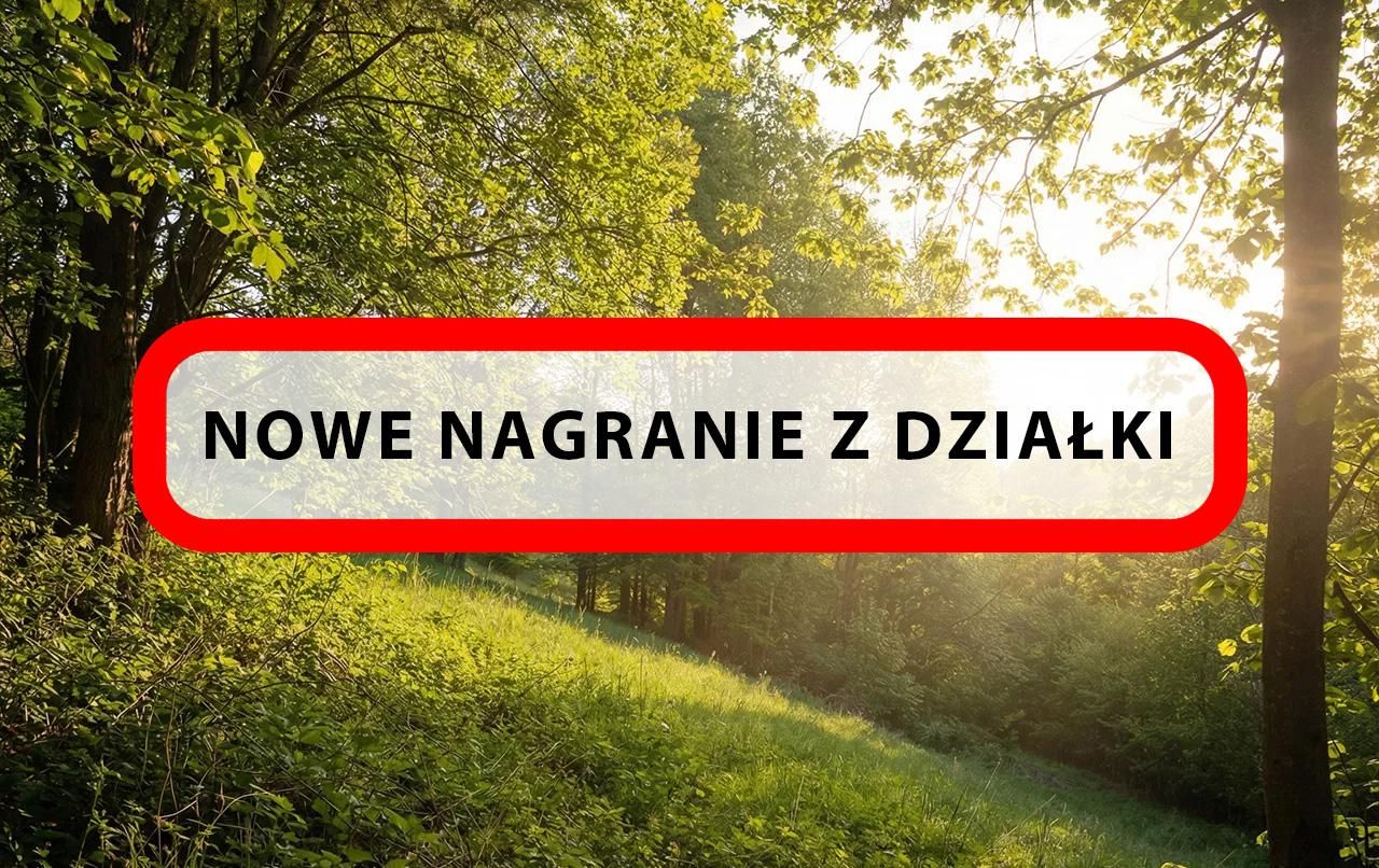 Działka budowlana Konradów. Zdjęcie 1