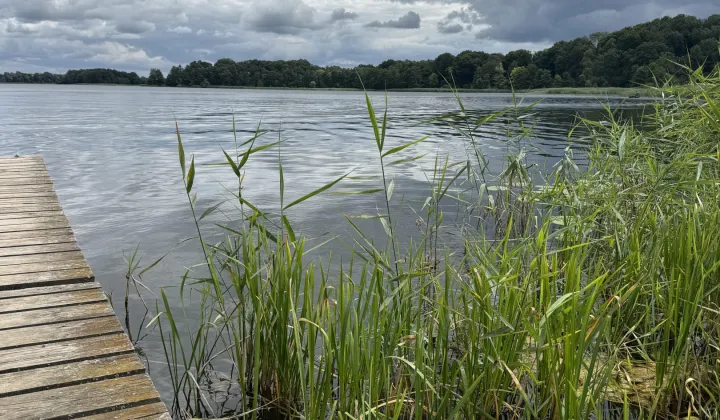 Działka rekreacyjna Tucze