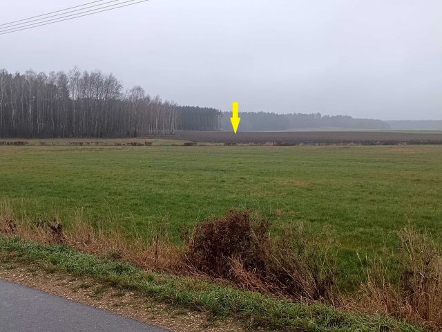 Działka rolna Tabędz. Zdjęcie 1