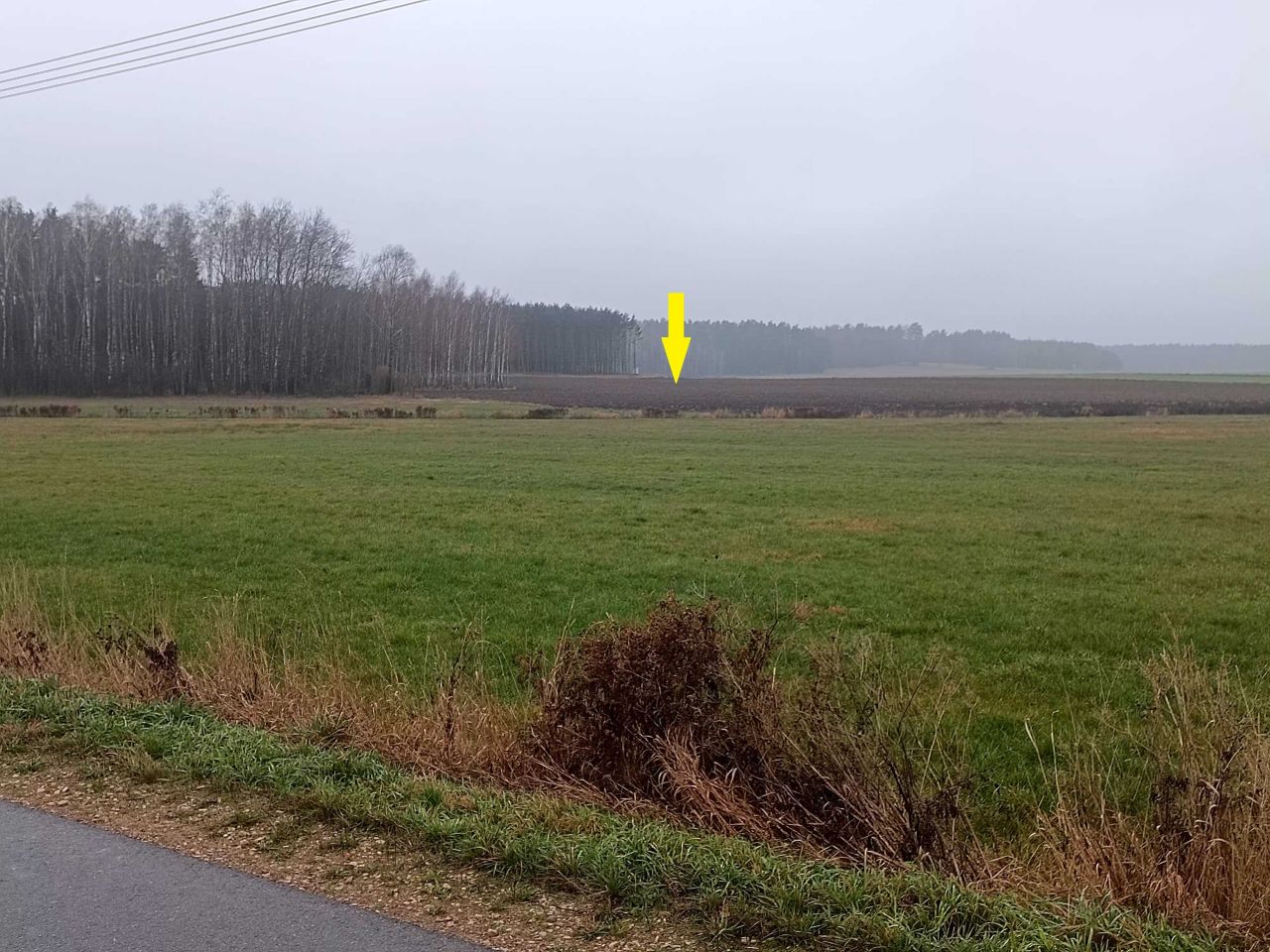 Działka rolna Tabędz. Zdjęcie 1