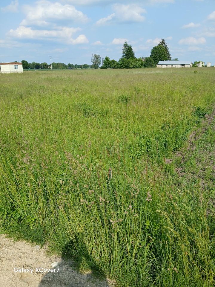 Działka budowlana Michałów. Zdjęcie 8