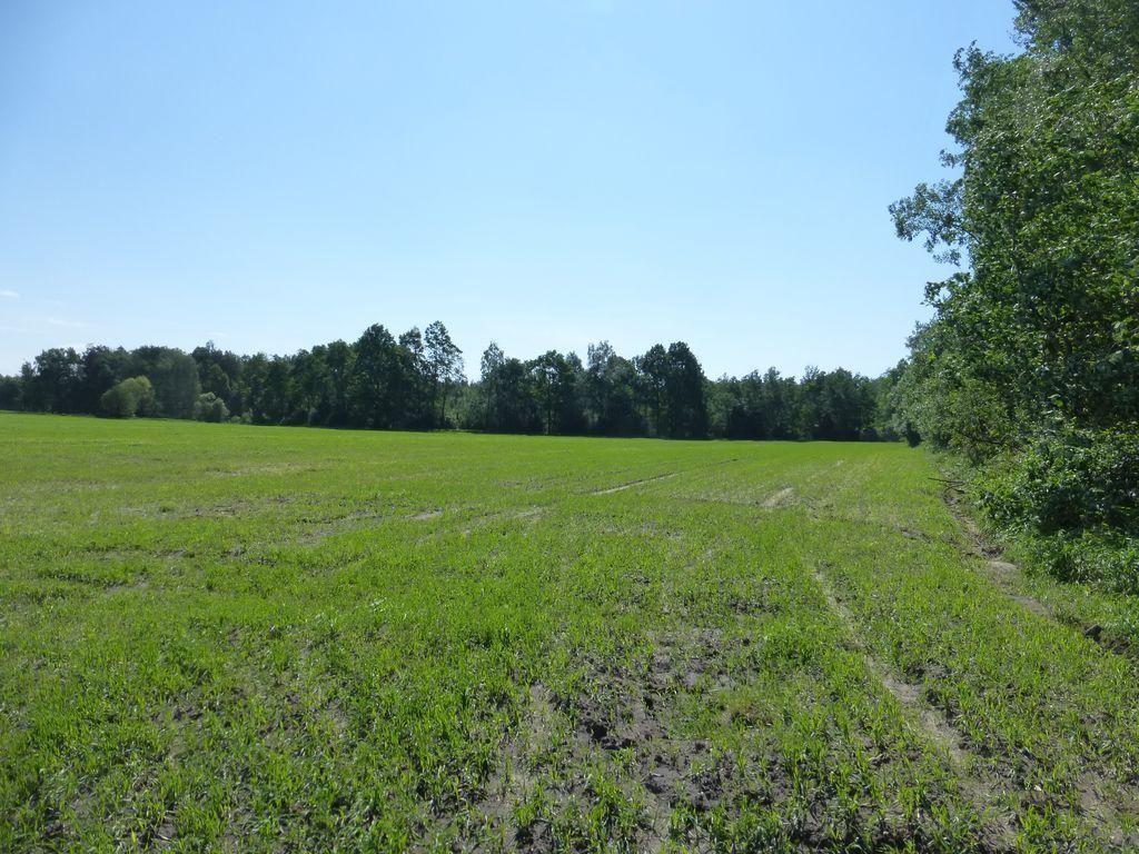Działka rolna Woźniki Statek, ul. Statek. Zdjęcie 4