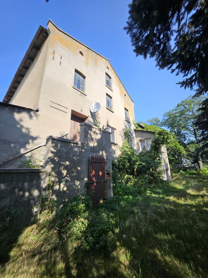 Nieruchomość komercyjna Bucz, ul. Kasztanowa. Zdjęcie 4