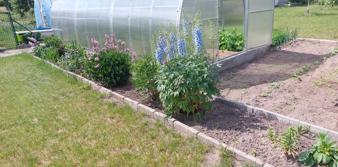 Działka rod Grochowiska. Zdjęcie 25