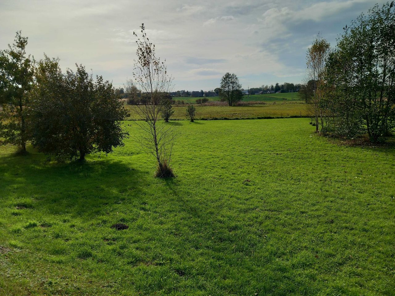 Działka budowlana Wojsławice. Zdjęcie 5