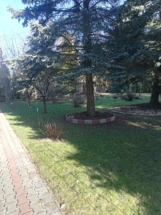 dom wolnostojący, 5 pokoi Bełchatów Olsztyn, ul. ks. Jerzego Popiełuszki. Zdjęcie 14