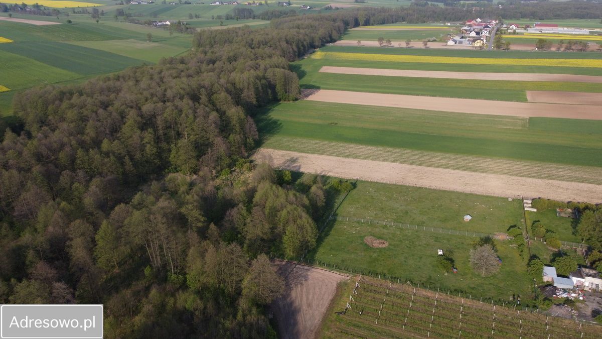 Działka rolno-budowlana Lubiska-Kolonia. Zdjęcie 3