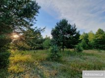 Działka rekreacyjna Orchówek, ul. Wesoła. Zdjęcie 1