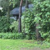 siedlisko, 5 pokoi Żuków Dębina. Zdjęcie 2