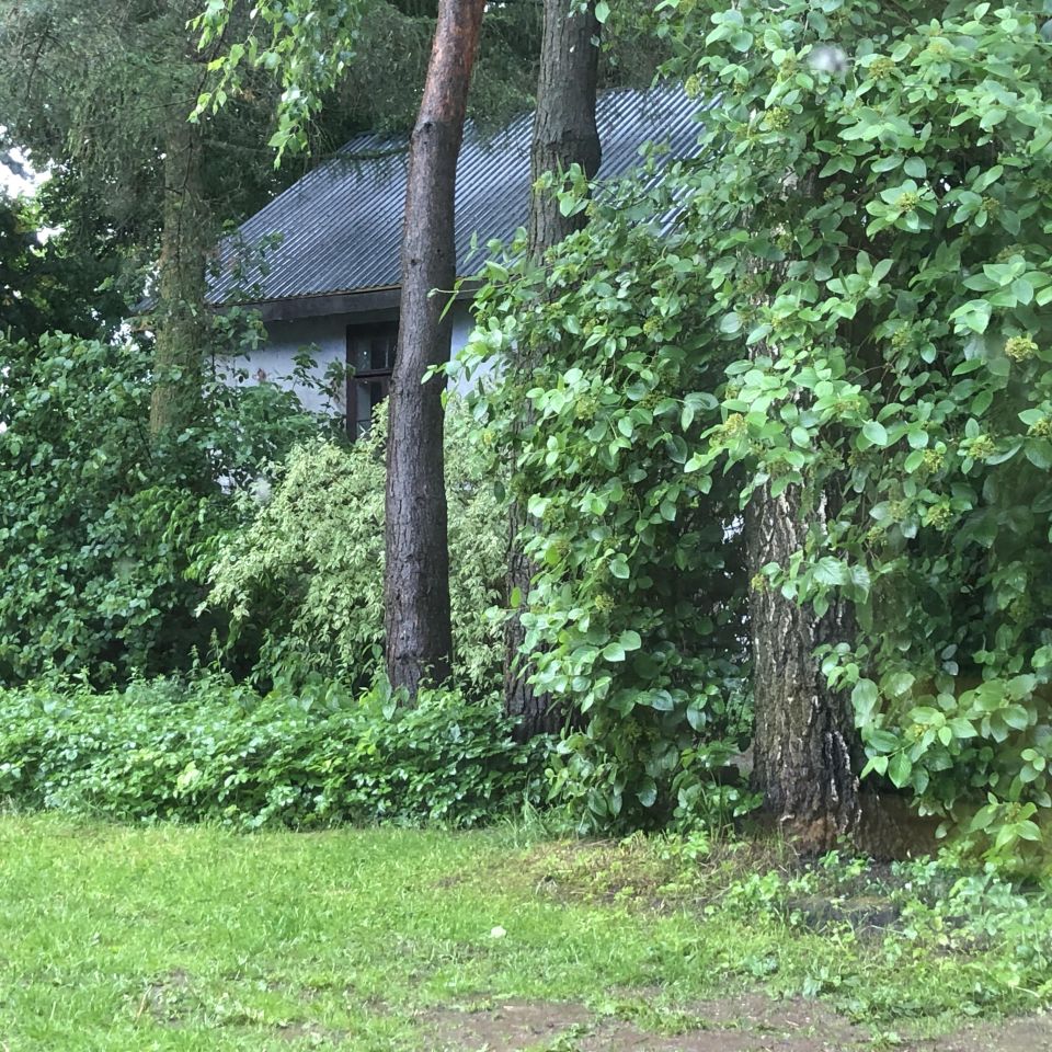 siedlisko, 5 pokoi Żuków Dębina. Zdjęcie 3