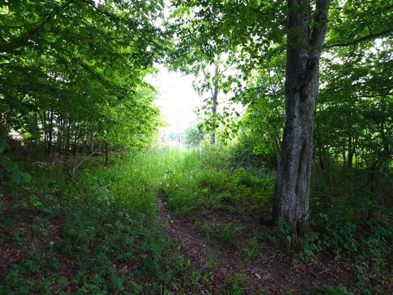 Działka budowlana Darżewo. Zdjęcie 11