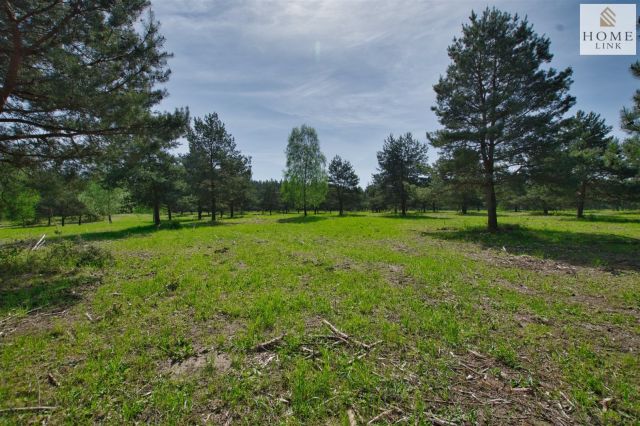 Działka inwestycyjna Maróz. Zdjęcie 11