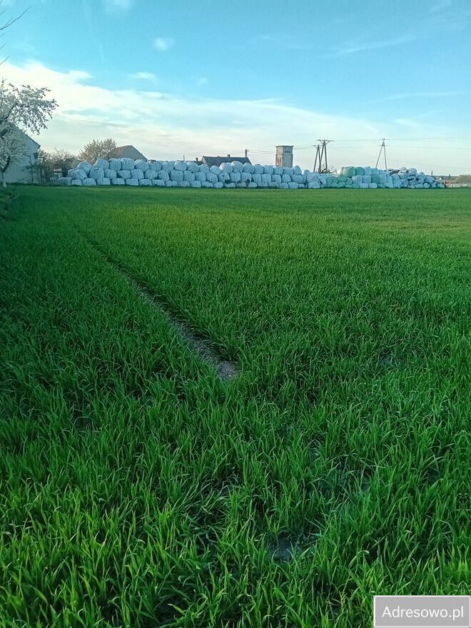 Działka rolno-budowlana Mokra. Zdjęcie 3