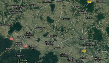 Działka leśna Branew