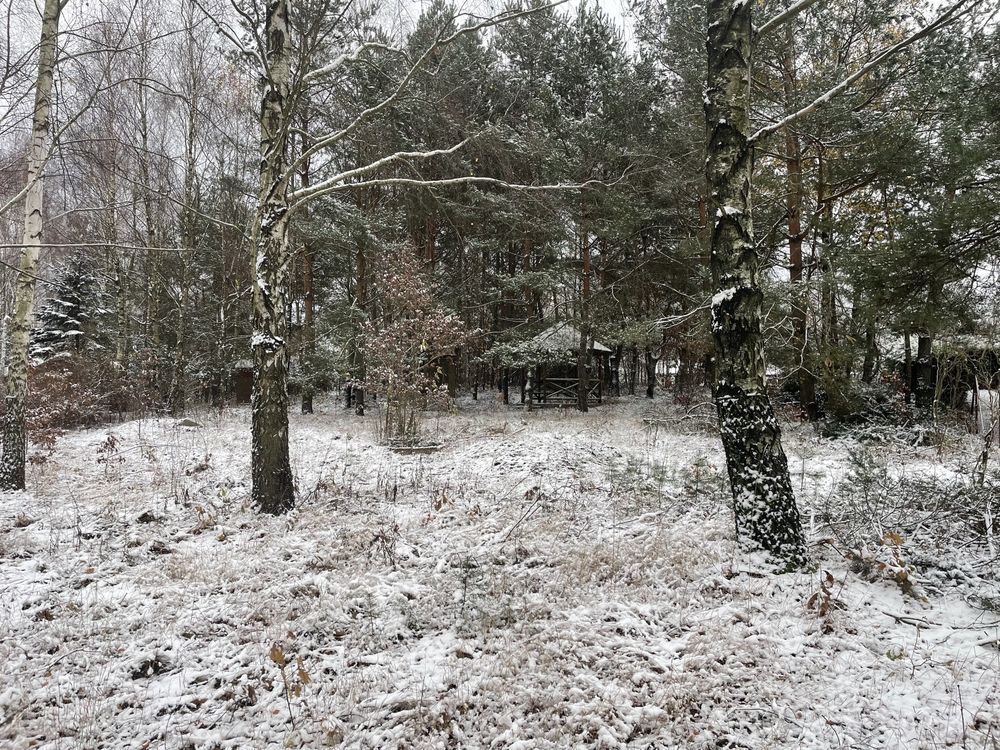 Działka rekreacyjna Czyżemin. Zdjęcie 6