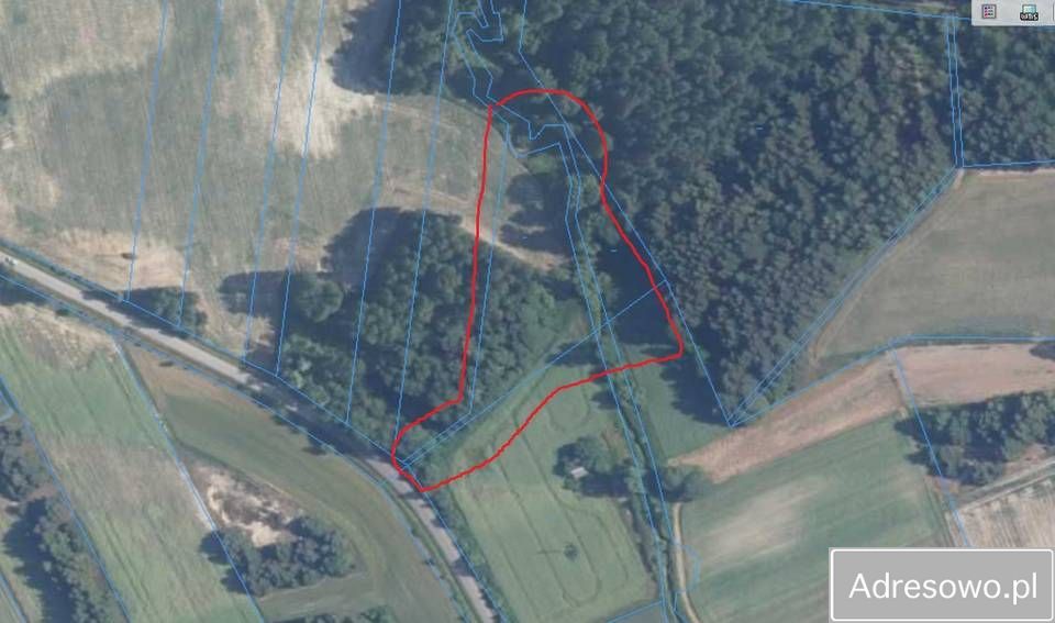 Działka rolna Żary. Zdjęcie 2