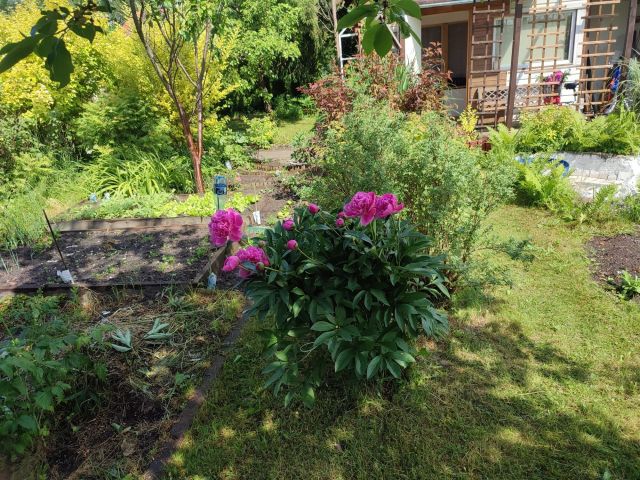 Działka rod Pruszcz Gdański. Zdjęcie 1