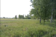 Działka rolna Guzew