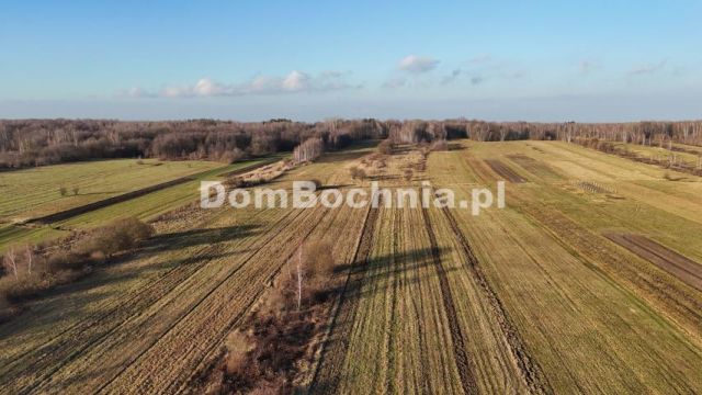 Działka budowlana Jodłówka. Zdjęcie 9