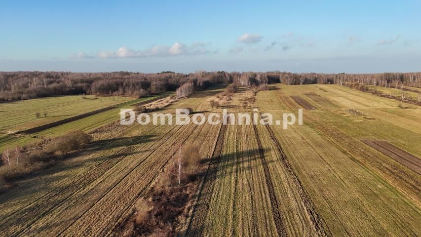 Działka budowlana Jodłówka. Zdjęcie 9