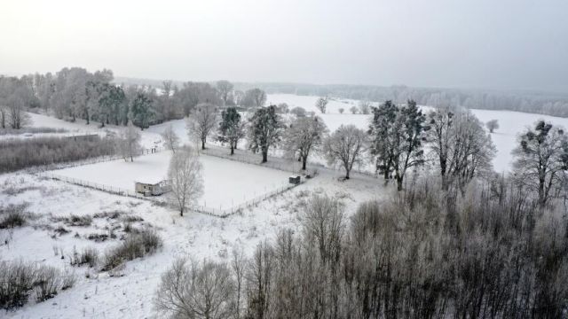 Działka budowlana Harsz. Zdjęcie 7