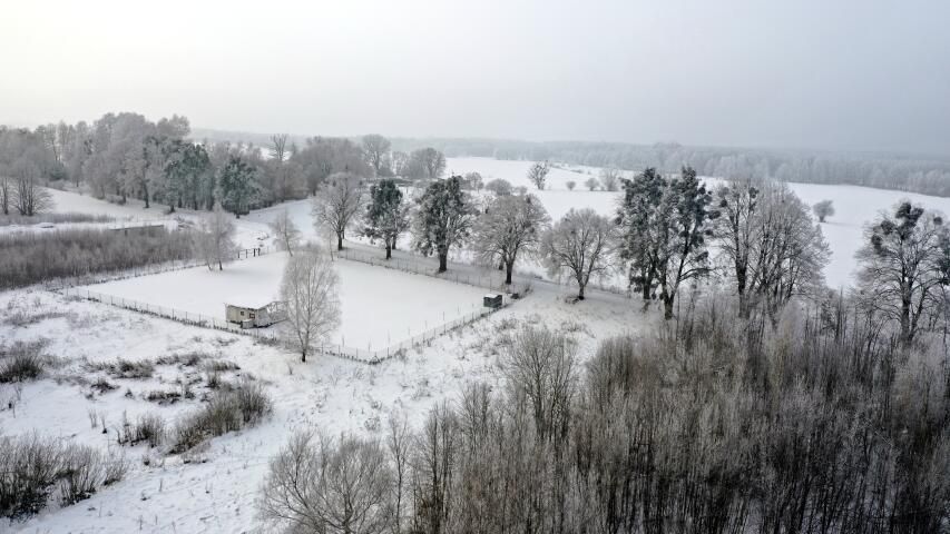 Działka budowlana Harsz. Zdjęcie 7