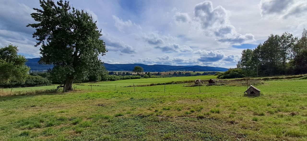 Działka inwestycyjna Szczytna, ul. Batorów. Zdjęcie 2