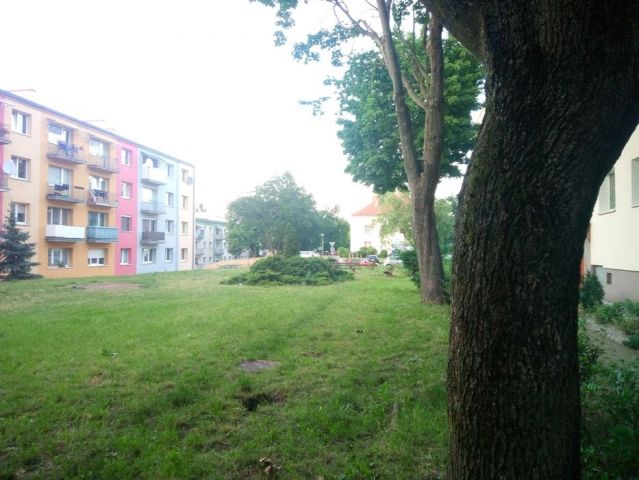 Mieszkanie 3-pokojowe Zielona Góra, ul. Tadeusza Konicza. Zdjęcie 1
