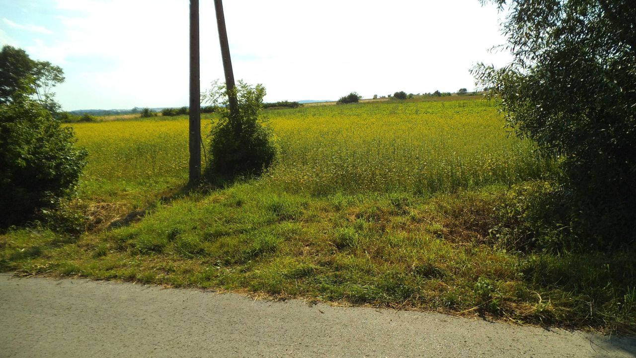 Działka budowlana Wierzbica