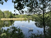 Działka rolno-budowlana Małe Leźno. Zdjęcie 4