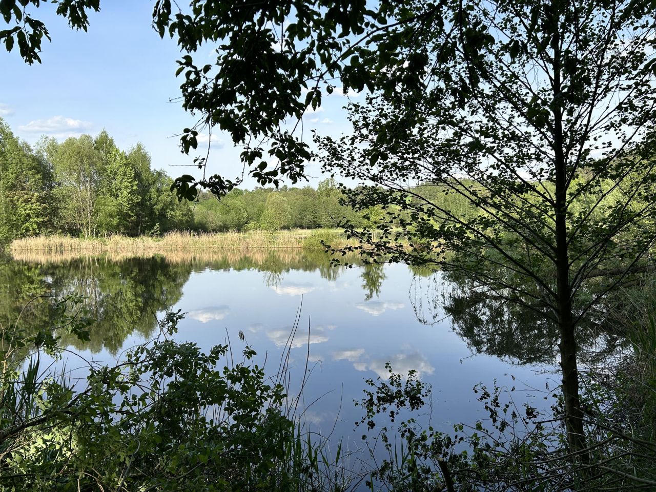 Działka rolno-budowlana Małe Leźno. Zdjęcie 5