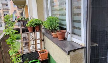 Mieszkanie 3-pokojowe Świętochłowice Centrum, ul. Licealna