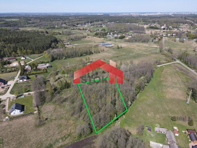 Działka leśna Trypucie. Zdjęcie 1