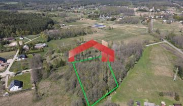 Działka leśna Trypucie