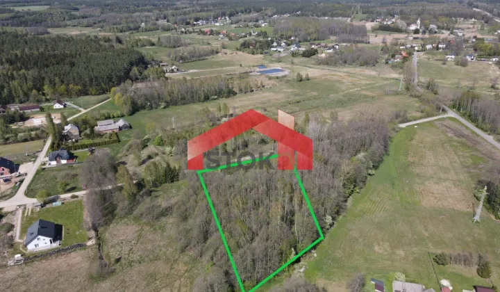 Działka leśna Trypucie