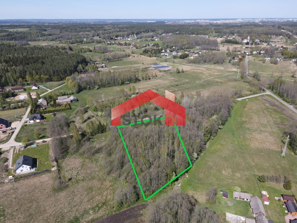 Działka leśna Trypucie