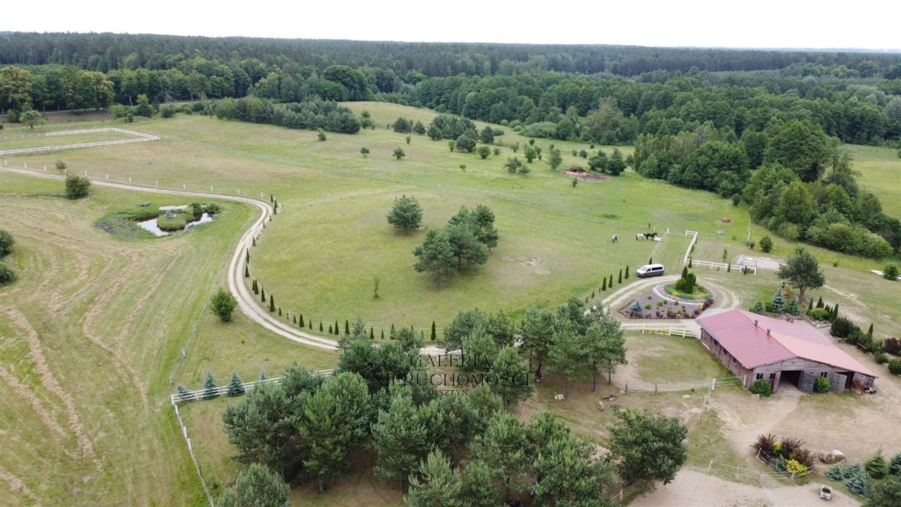 Działka rolna Miłomłyn, ul. Iławska. Zdjęcie 5