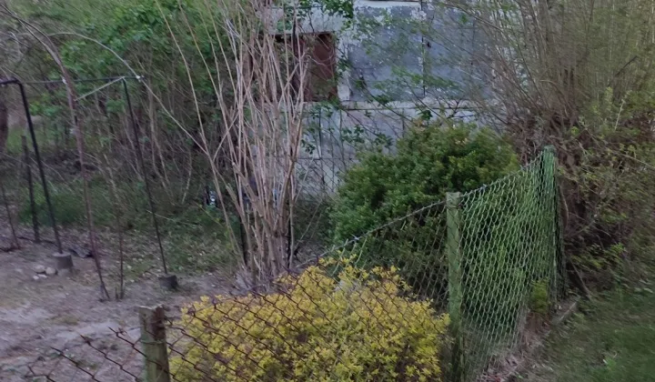 Działka rod Radom, ul. Wincentego Witosa