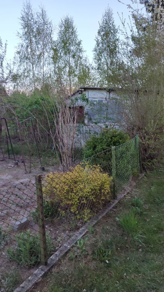 Działka rod Radom, ul. Wincentego Witosa. Zdjęcie 1